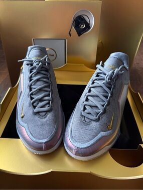 Nike  LeBron shut up and dribble Gray Iridescent Sneakers with Gold Swoosh